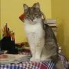 Отзыв от Антонина Алехина